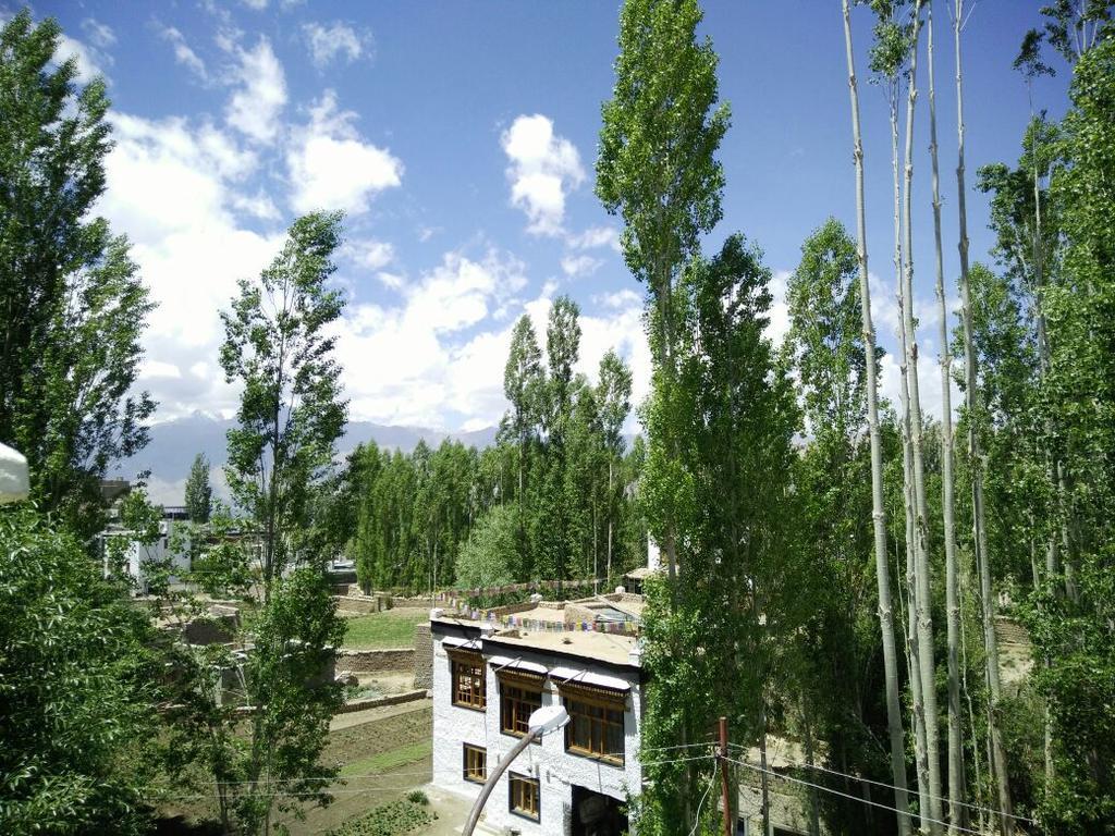 Youthok Guest House Лех Экстерьер фото
